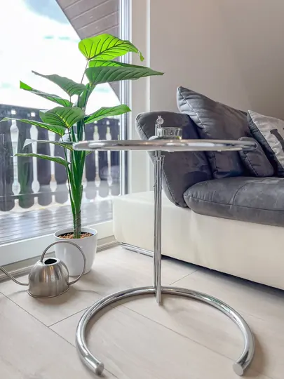 Living room detail with plant and modern side table